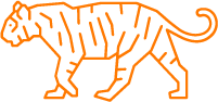 Tiger icon